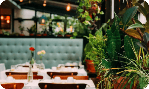 Restaurant and bar service representing hospitality food and beverage